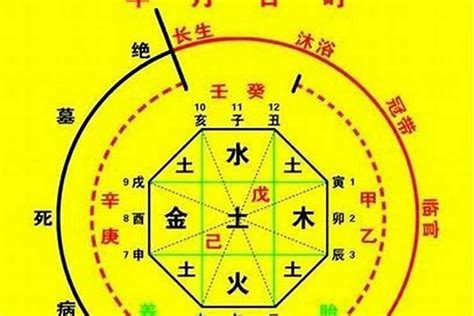 八字 丁火|十天干與十二地支喜忌——丁火篇